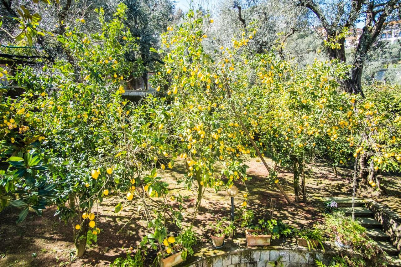Mediterranean House ソレント エクステリア 写真