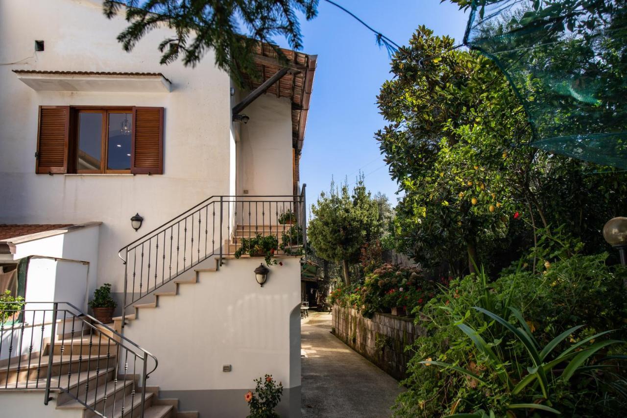 Mediterranean House ソレント エクステリア 写真